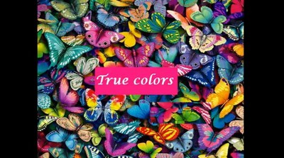 Cindy Lauper - True Colors